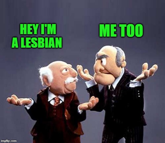 statler and waldorf | HEY I'M A LESBIAN ME TOO | image tagged in statler and waldorf | made w/ Imgflip meme maker