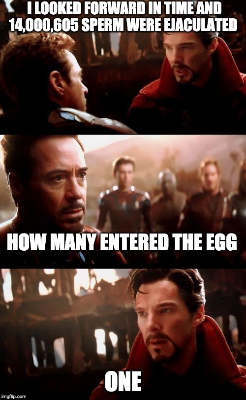 Infinity War - 14mil futures | I LOOKED FORWARD IN TIME AND 14,000,605 SPERM WERE EJACULATED; HOW MANY ENTERED THE EGG; ONE | image tagged in infinity war - 14mil futures | made w/ Imgflip meme maker