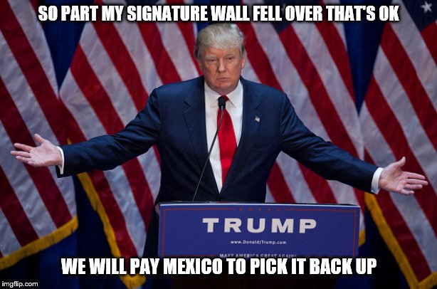 Donald Trump | SO PART MY SIGNATURE WALL FELL OVER THAT'S OK; WE WILL PAY MEXICO TO PICK IT BACK UP | image tagged in donald trump | made w/ Imgflip meme maker