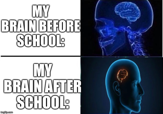 My brain hurts | MY BRAIN BEFORE SCHOOL:; MY BRAIN AFTER SCHOOL: | image tagged in expanding brain 2-step,school | made w/ Imgflip meme maker