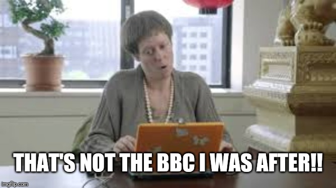 Toren C Els | THAT'S NOT THE BBC I WAS AFTER!! | image tagged in mom frustrated at laptop | made w/ Imgflip meme maker