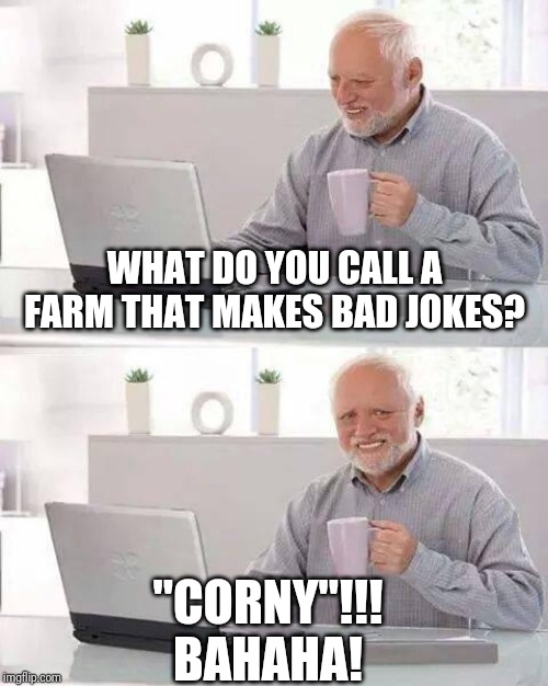 Hide the Pain Harold Meme | WHAT DO YOU CALL A FARM THAT MAKES BAD JOKES? "CORNY"!!!
BAHAHA! | image tagged in memes,hide the pain harold | made w/ Imgflip meme maker
