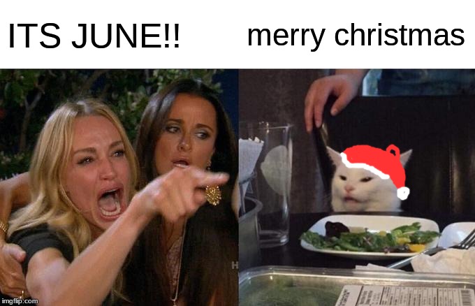 Woman Yelling At Cat Meme | ITS JUNE!! merry christmas | image tagged in memes,woman yelling at cat | made w/ Imgflip meme maker