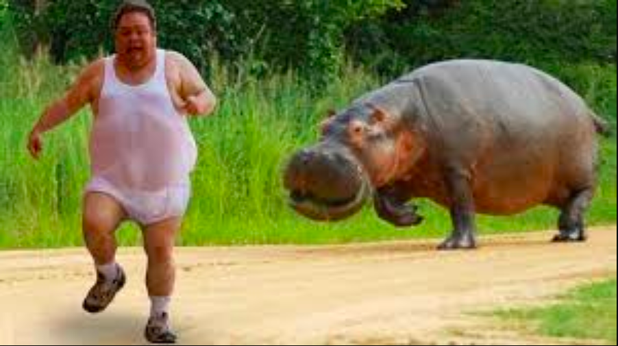 High Quality Man runs from hippo Blank Meme Template