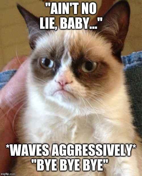 Grumpy Cat | "AIN'T NO LIE, BABY..."; *WAVES AGGRESSIVELY* "BYE BYE BYE" | image tagged in memes,grumpy cat,backstreet boys | made w/ Imgflip meme maker