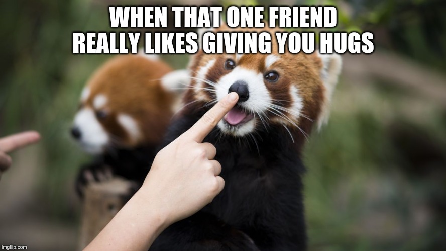 boop | WHEN THAT ONE FRIEND REALLY LIKES GIVING YOU HUGS | image tagged in boop | made w/ Imgflip meme maker