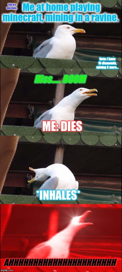 Inhaling Seagull | Me at home playing minecraft, mining in a ravine. This is a true story... Note: I have 15 diamonds, mining 3 more... Hiss..... BOOM; ME: DIES; *INHALES*; AHHHHHHHHHHHHHHHHHHHHHH | image tagged in memes,inhaling seagull | made w/ Imgflip meme maker
