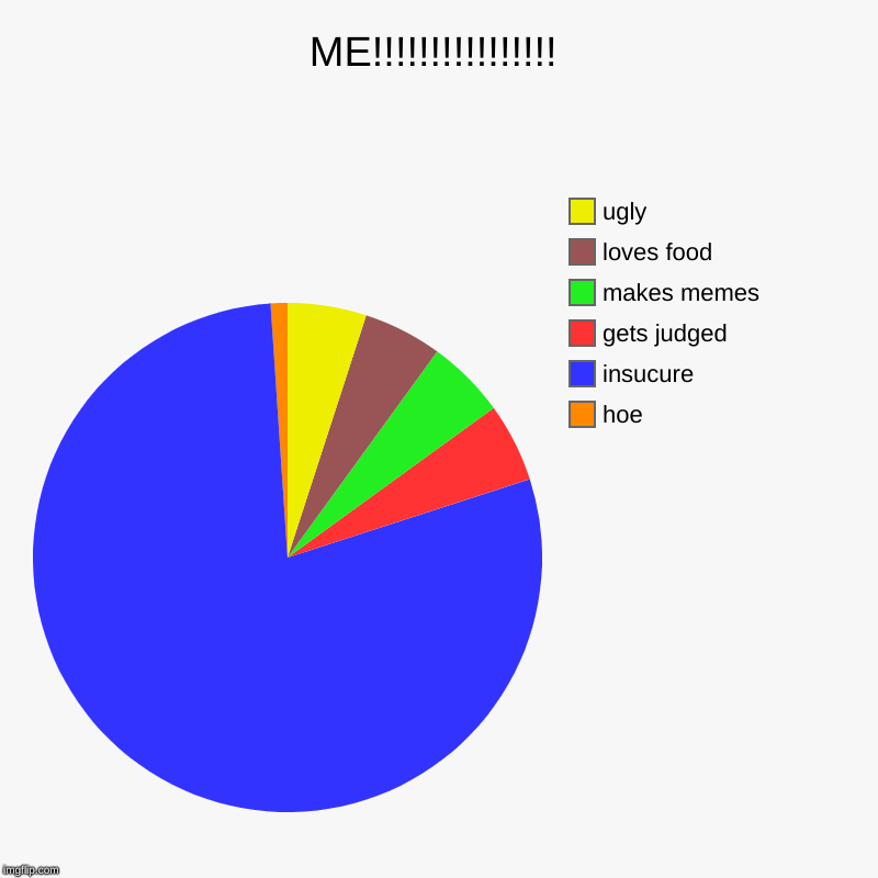 ME!!!!!!!!!!!!!!!! | hoe, insucure, gets judged, makes memes, loves food, ugly | image tagged in charts,pie charts | made w/ Imgflip chart maker