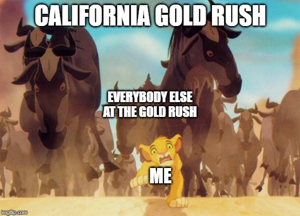 Lion King Stampede | CALIFORNIA GOLD RUSH; EVERYBODY ELSE AT THE GOLD RUSH; ME | image tagged in lion king stampede | made w/ Imgflip meme maker