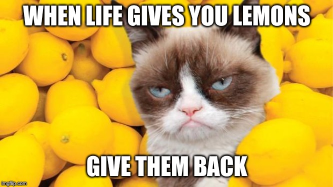 Grumpy Cat lemons | WHEN LIFE GIVES YOU LEMONS; GIVE THEM BACK | image tagged in grumpy cat lemons | made w/ Imgflip meme maker