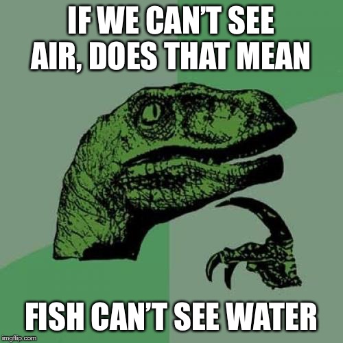 Just thought about this | IF WE CAN’T SEE AIR, DOES THAT MEAN; FISH CAN’T SEE WATER | image tagged in memes,philosoraptor | made w/ Imgflip meme maker