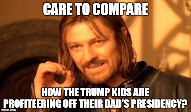 One Does Not Simply Meme | CARE TO COMPARE HOW THE TRUMP KIDS ARE PROFITEERING OFF THEIR DAD'S PRESIDENCY? | image tagged in memes,one does not simply | made w/ Imgflip meme maker