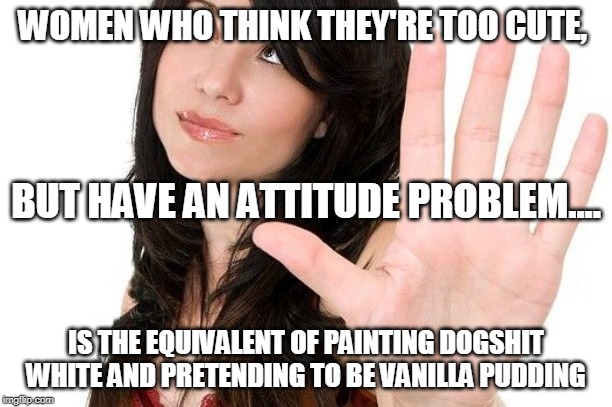 by Ken Lynch | WOMEN WHO THINK THEY'RE TOO CUTE, BUT HAVE AN ATTITUDE PROBLEM.... IS THE EQUIVALENT OF PAINTING DOGSHIT WHITE AND PRETENDING TO BE VANILLA PUDDING | image tagged in attitude,women be trippin' | made w/ Imgflip meme maker
