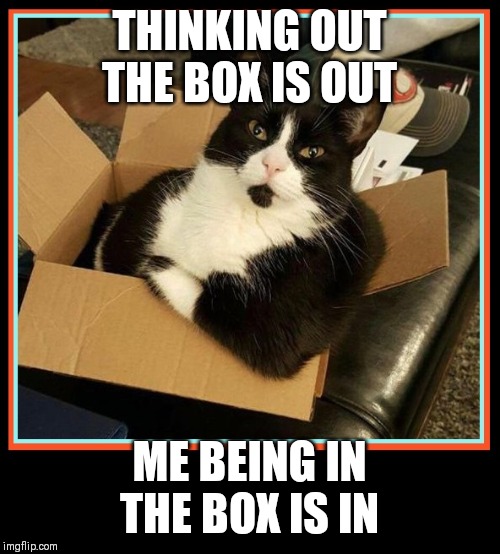 Cat thinks outside box while sitting inside it | THINKING OUT THE BOX IS OUT; ME BEING IN THE BOX IS IN | image tagged in sophisticated cat,think outside the box,vince vance,cats,cardboard,box | made w/ Imgflip meme maker