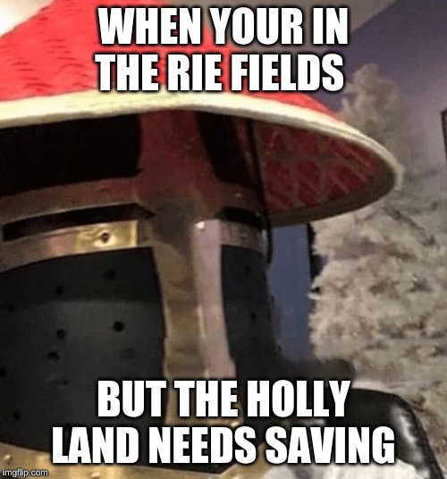 Ching Chong Crusader | WHEN YOUR IN THE RIE FIELDS; BUT THE HOLLY LAND NEEDS SAVING | image tagged in ching chong crusader | made w/ Imgflip meme maker