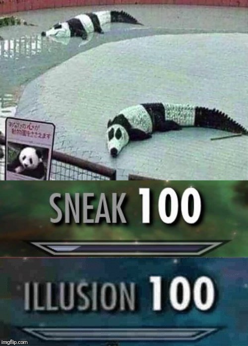 image tagged in illusion 100,sneak 100,funny,panda,crocodile,zoo | made w/ Imgflip meme maker