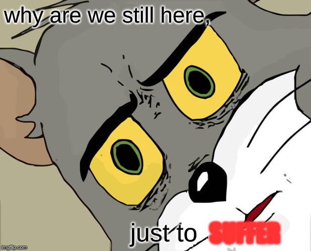 Unsettled Tom | why are we still here, just to; SUFFER | image tagged in memes,unsettled tom | made w/ Imgflip meme maker