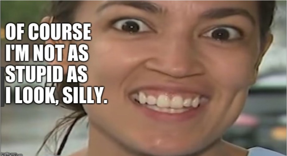 image tagged in aoc,stupid,silly | made w/ Imgflip meme maker
