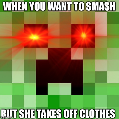 WHEN YOU WANT TO SMASH; BUT SHE TAKES OFF CLOTHES | image tagged in minecraft,funny memes | made w/ Imgflip meme maker