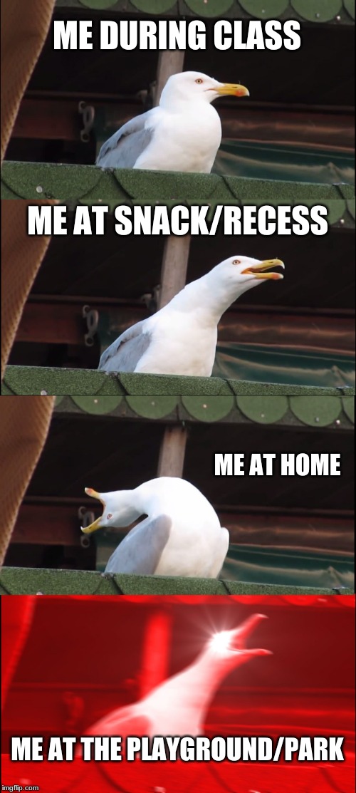 Inhaling Seagull | ME DURING CLASS; ME AT SNACK/RECESS; ME AT HOME; ME AT THE PLAYGROUND/PARK | image tagged in memes,inhaling seagull | made w/ Imgflip meme maker
