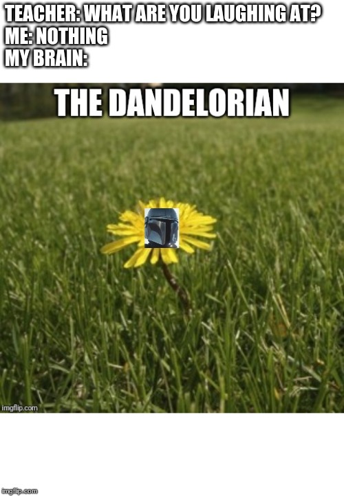 Why are you laughing meme |  TEACHER: WHAT ARE YOU LAUGHING AT?
ME: NOTHING
MY BRAIN: | image tagged in the mandalorian,memes | made w/ Imgflip meme maker