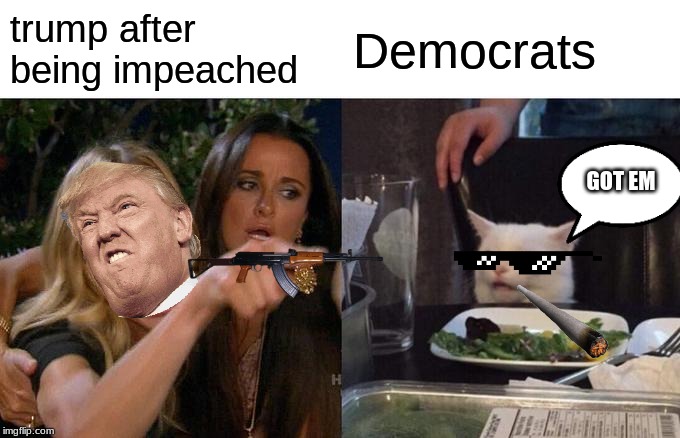 Woman Yelling At Cat Meme | trump after being impeached; Democrats; GOT EM | image tagged in memes,woman yelling at cat | made w/ Imgflip meme maker