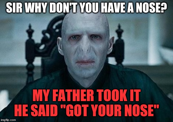 Lord Voldemort | SIR WHY DON'T YOU HAVE A NOSE? MY FATHER TOOK IT HE SAID "GOT YOUR NOSE" | image tagged in lord voldemort | made w/ Imgflip meme maker