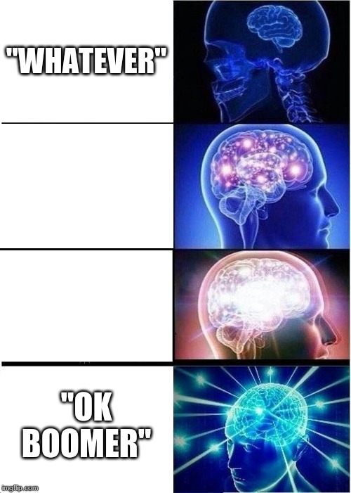 Expanding Brain Meme | "WHATEVER"; "OK BOOMER" | image tagged in memes,expanding brain | made w/ Imgflip meme maker