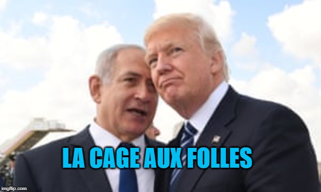 Bebe and Bozo | LA CAGE AUX FOLLES | image tagged in politics | made w/ Imgflip meme maker