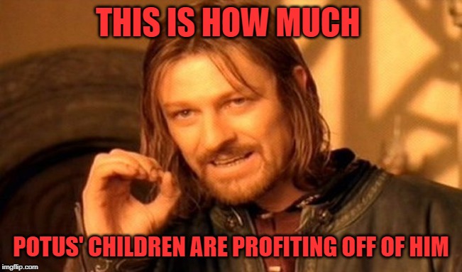 One Does Not Simply Meme | THIS IS HOW MUCH POTUS' CHILDREN ARE PROFITING OFF OF HIM | image tagged in memes,one does not simply | made w/ Imgflip meme maker