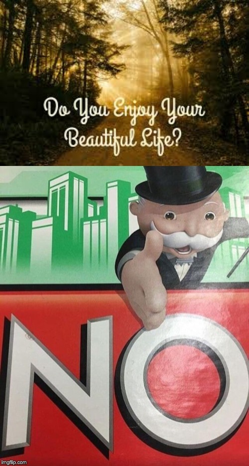 image tagged in monopoly no | made w/ Imgflip meme maker