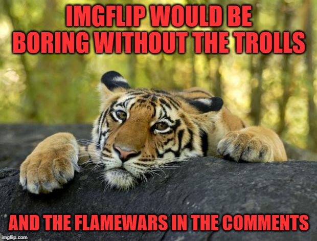 confession tiger hi res | IMGFLIP WOULD BE BORING WITHOUT THE TROLLS AND THE FLAMEWARS IN THE COMMENTS | image tagged in confession tiger hi res | made w/ Imgflip meme maker