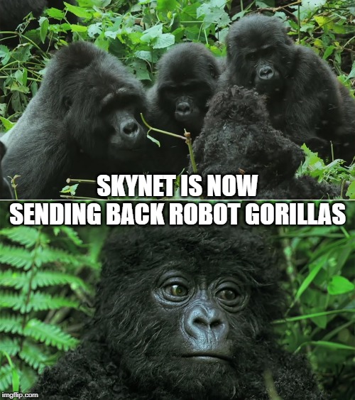 Skynet of the Apes | SKYNET IS NOW SENDING BACK ROBOT GORILLAS | image tagged in skynet of the apes,apocalypse,terminator,gorilla | made w/ Imgflip meme maker