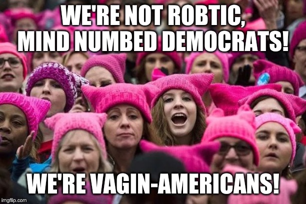 You better not rub us the wrong way! | WE'RE NOT ROBTIC, MIND NUMBED DEMOCRATS! WE'RE VAGIN-AMERICANS! | image tagged in pussy hats | made w/ Imgflip meme maker