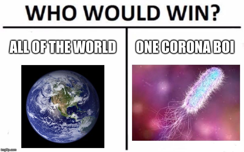 Who Would Win? | ALL OF THE WORLD; ONE CORONA BOI | image tagged in memes,who would win | made w/ Imgflip meme maker