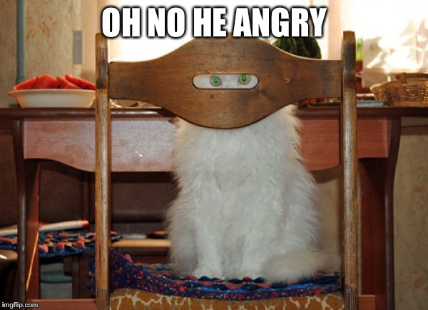 OH NO HE ANGRY | image tagged in stealth | made w/ Imgflip meme maker