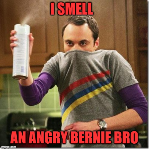 air freshener sheldon cooper | I SMELL AN ANGRY BERNIE BRO | image tagged in air freshener sheldon cooper | made w/ Imgflip meme maker