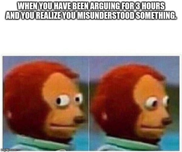 Monkey Puppet | WHEN YOU HAVE BEEN ARGUING FOR 3 HOURS AND YOU REALIZE YOU MISUNDERSTOOD SOMETHING. | image tagged in monkey puppet | made w/ Imgflip meme maker