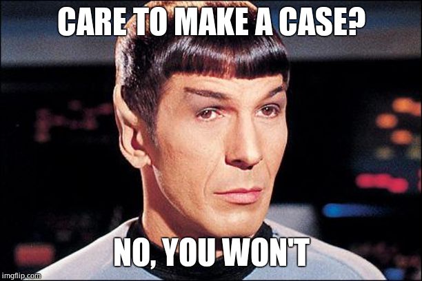 Condescending Spock | CARE TO MAKE A CASE? NO, YOU WON'T | image tagged in condescending spock | made w/ Imgflip meme maker