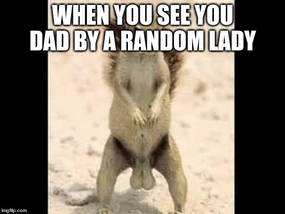 Squirrel nuts | WHEN YOU SEE YOU DAD BY A RANDOM LADY | image tagged in squirrel nuts | made w/ Imgflip meme maker