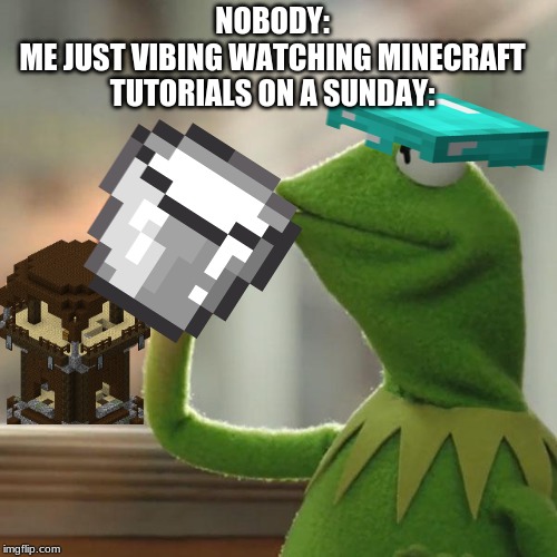 But That's None Of My Business | NOBODY:
ME JUST VIBING WATCHING MINECRAFT TUTORIALS ON A SUNDAY: | image tagged in memes,but thats none of my business,kermit the frog | made w/ Imgflip meme maker