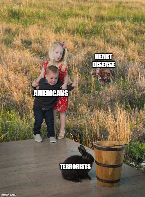 fear this not that | HEART DISEASE; AMERICANS; TERRORISTS | image tagged in heart disease,terrorists,americans | made w/ Imgflip meme maker