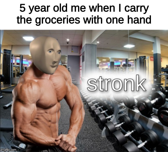 stronks | 5 year old me when I carry the groceries with one hand | image tagged in stronks | made w/ Imgflip meme maker