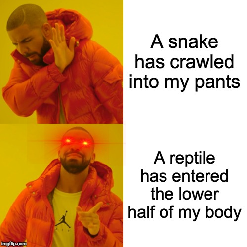 Drake Hotline Bling | A snake has crawled into my pants; A reptile has entered the lower half of my body | image tagged in memes,drake hotline bling | made w/ Imgflip meme maker