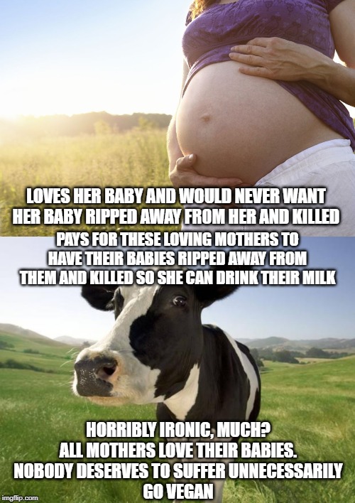 LOVES HER BABY AND WOULD NEVER WANT HER BABY RIPPED AWAY FROM HER AND KILLED; PAYS FOR THESE LOVING MOTHERS TO HAVE THEIR BABIES RIPPED AWAY FROM THEM AND KILLED SO SHE CAN DRINK THEIR MILK; HORRIBLY IRONIC, MUCH?
ALL MOTHERS LOVE THEIR BABIES.
NOBODY DESERVES TO SUFFER UNNECESSARILY
GO VEGAN | image tagged in cow,pregnant woman | made w/ Imgflip meme maker