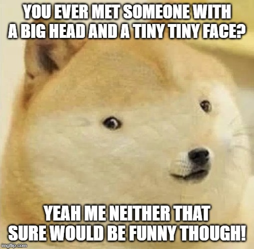 Doge tiny face | YOU EVER MET SOMEONE WITH A BIG HEAD AND A TINY TINY FACE? YEAH ME NEITHER THAT SURE WOULD BE FUNNY THOUGH! | image tagged in doge tiny face | made w/ Imgflip meme maker