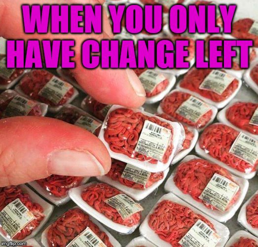 When you are down to pocket change | WHEN YOU ONLY HAVE CHANGE LEFT | image tagged in poor | made w/ Imgflip meme maker