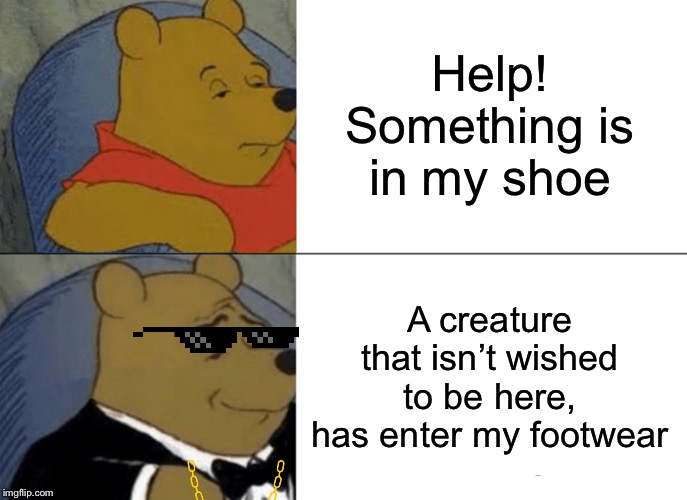 Tuxedo Winnie The Pooh | Help! Something is in my shoe; A creature that isn’t wished to be here, has enter my footwear | image tagged in memes,tuxedo winnie the pooh | made w/ Imgflip meme maker