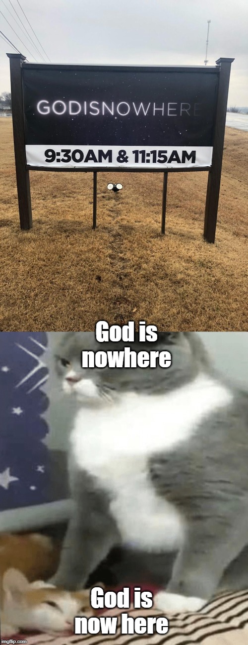 Atheist Design | God is nowhere; God is now here | image tagged in cat crushing cat,god,atheist,atheism,atheists,epic fail | made w/ Imgflip meme maker