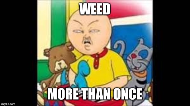 dank caillou | WEED; MORE THAN ONCE | image tagged in dank caillou | made w/ Imgflip meme maker